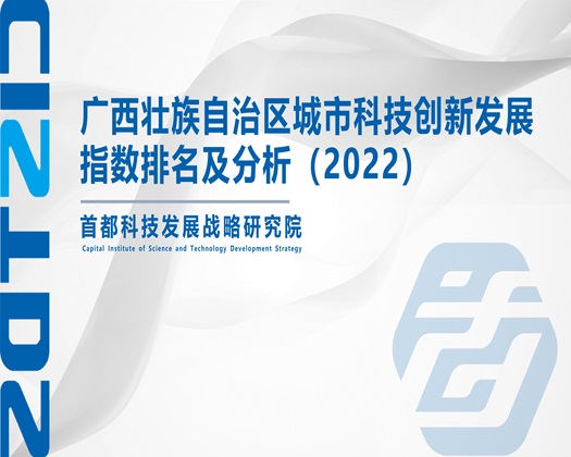 大黑屌操逼逼3d情色视频【成果发布】广西壮族自治区城市科技创新发展指数排名及分析（2022）